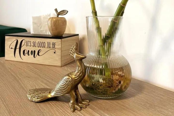 Peacock Studio Năvodari Kültér fotó
