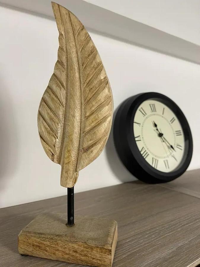 Peacock Studio Năvodari Kültér fotó